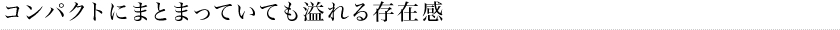 コンパクトにまとまっていても溢れる存在感